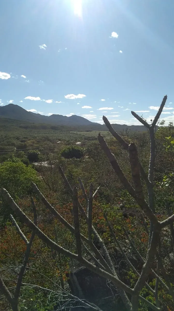 Imagem Terreno à Venda, 9.500 m² em Rio de Contas - Rio de Contas