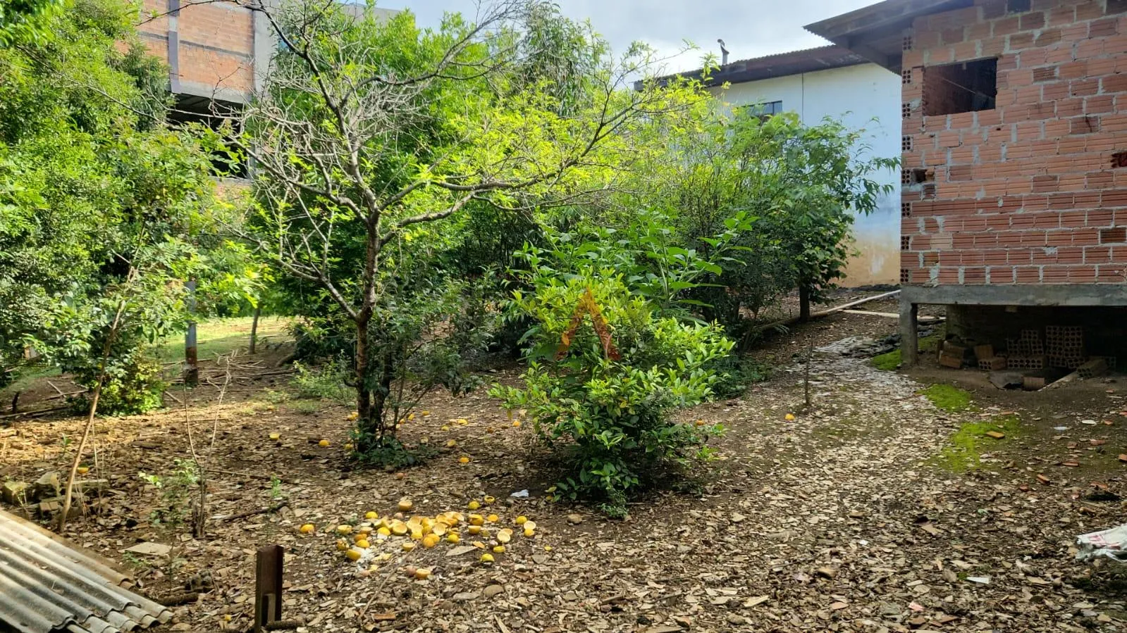 Imagem Imóvel com duas casas no Bairro Primavera  excelente para morar ou investir