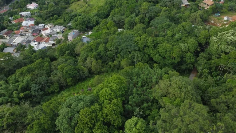 Imagem Terreno à Venda no Bairro Macacu em Garopaba/SC! Oportunidade Única: 1.728,00 m² de Área!