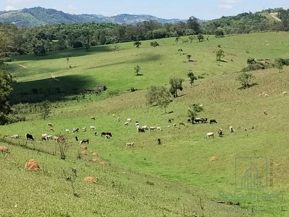 Imagem Terreno à venda 1204 m² por R$360.00,00 - Estância Brasil / Atibaia