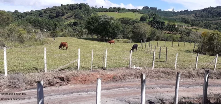 Imagem CHACARA RURAL em CAMPESTRE - MG, CENTRO