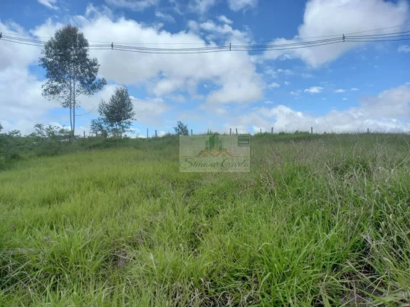 Imagem TERRENO PILAR DO SUL