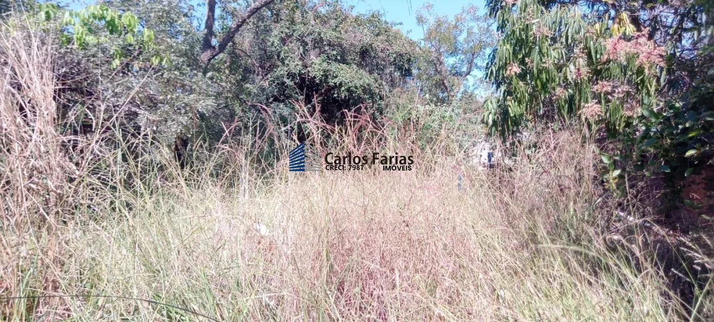 Imagem Lote em Condomínio Fechado para Venda em Brasília, Setor Habitacional Tororó (Jardim Botânico)