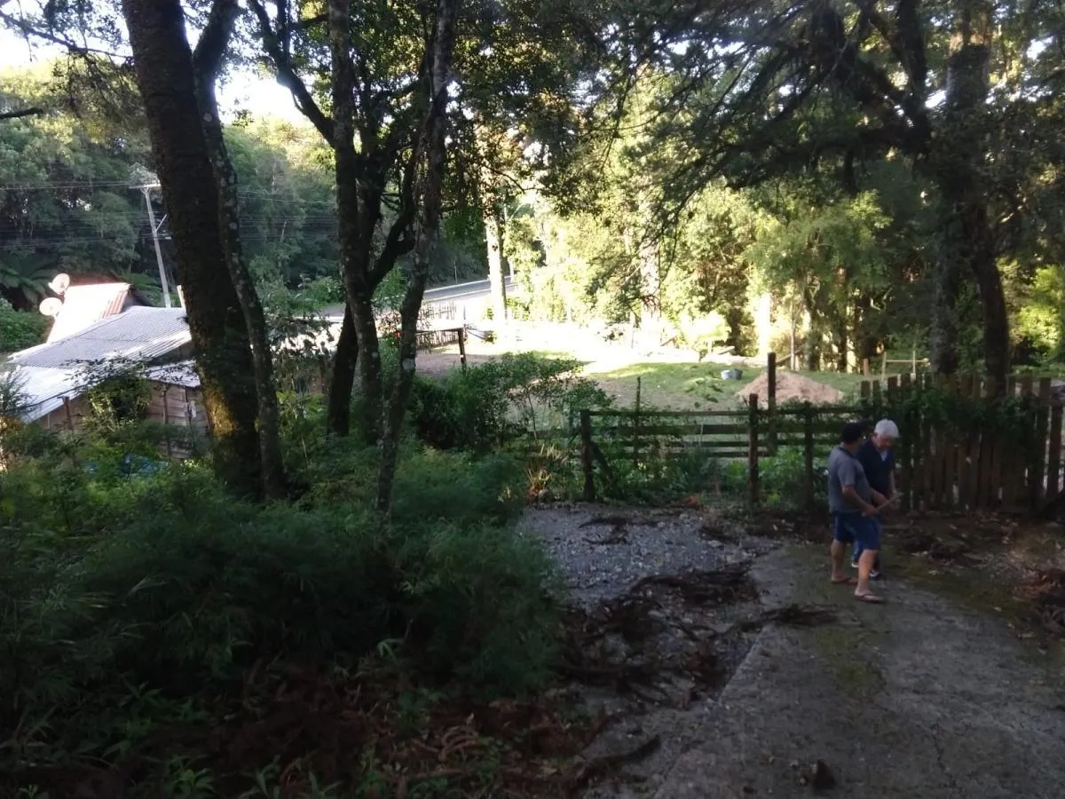 Imagem Terreno para Venda em São Francisco de Paula / RS