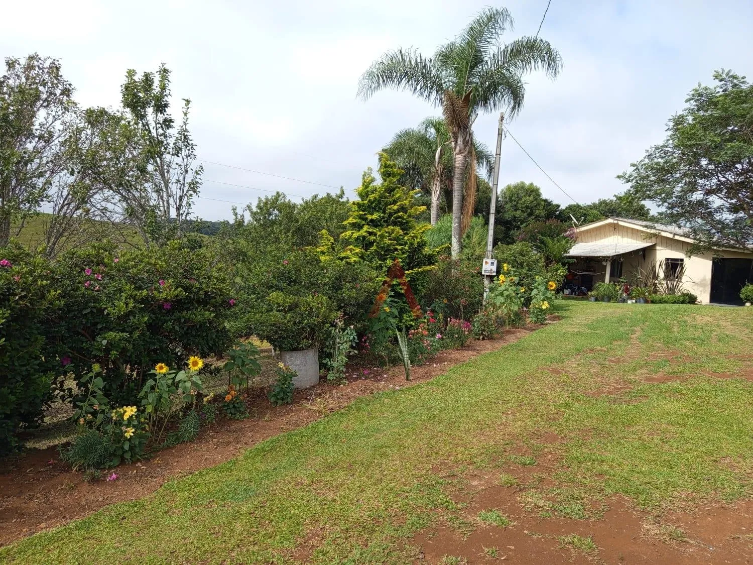 Chácara com 2.1 alqueires à venda, Guairacá, GUARAPUAVA - PR