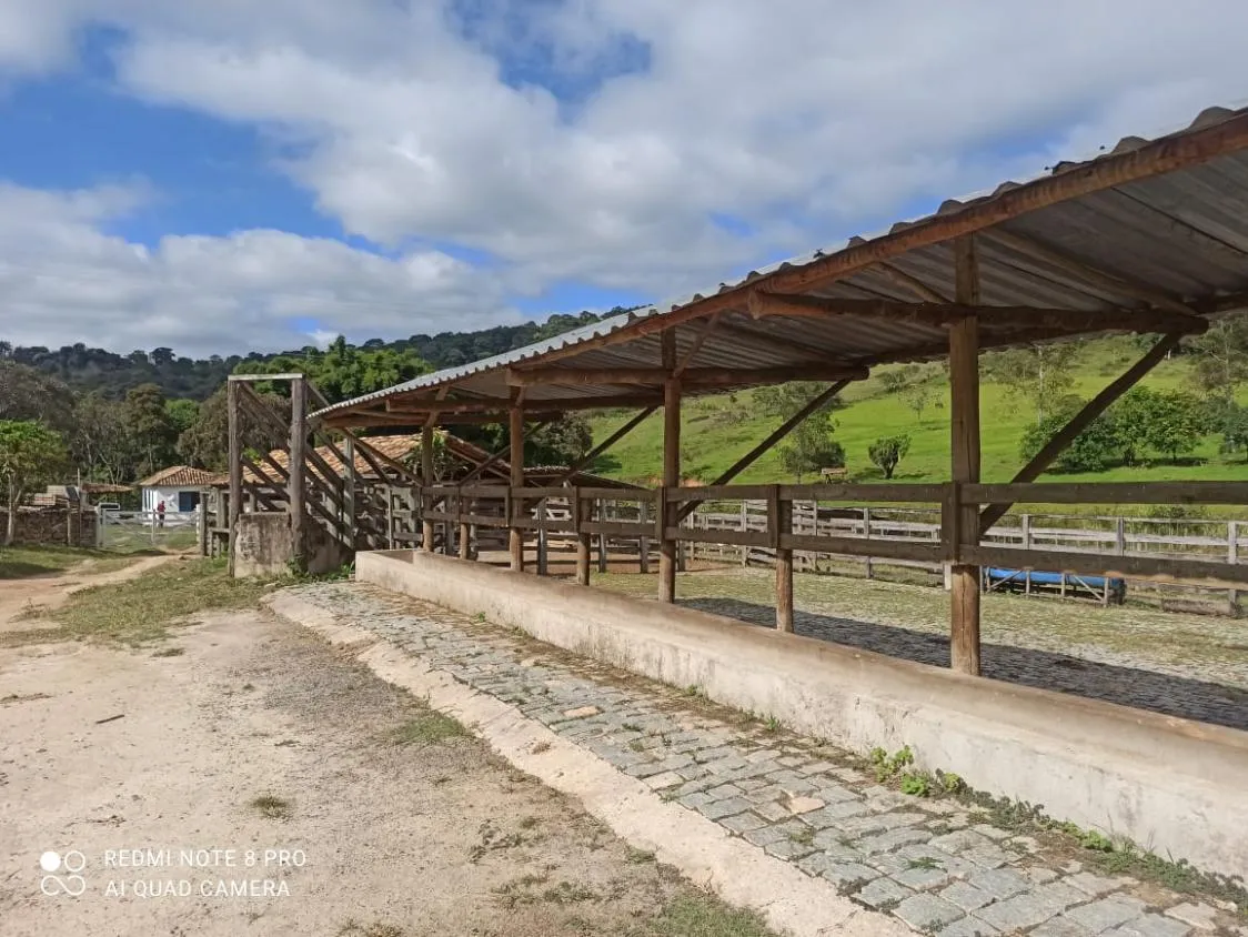 Imagem Vendo uma fazenda de 138 hectares em Passatempo/MG,