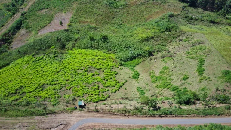 Imagem Terreno para Venda em Concórdia, Arvoredo