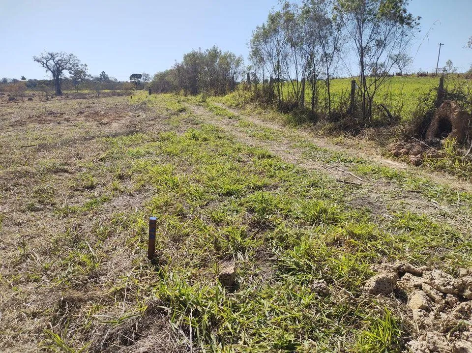 Imagem TERRENO- ARTUR NOGUEIRA/HOLAMBRA