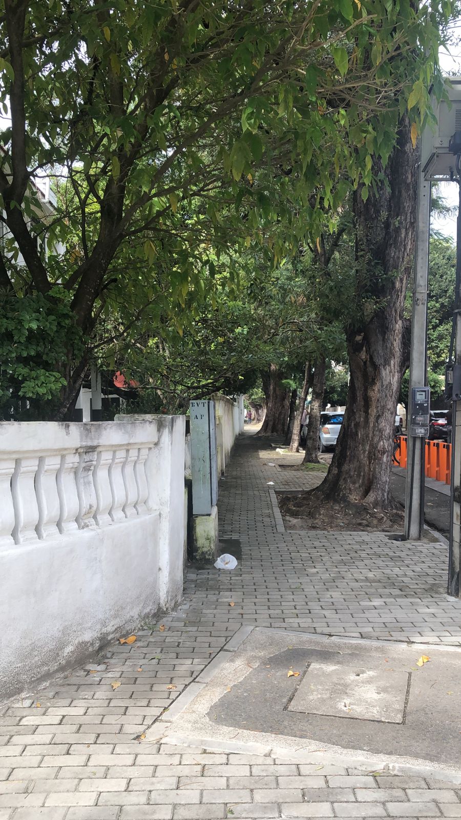 Imagem Casa com 5 Quartos à Venda ou Locação, 314 m² em Santo Amaro - Recife