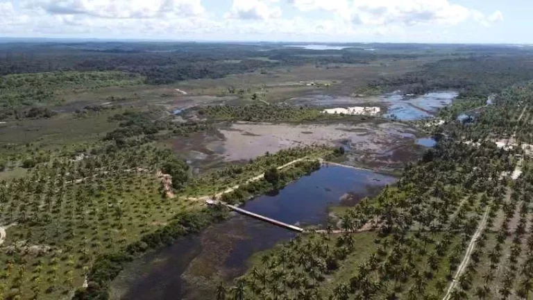 Imagem Glebas Ponta da Folha
