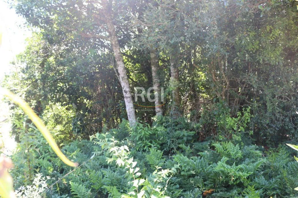 Imagem Terreno para Venda - 524.4m², 0 dormitórios, Teresópolis