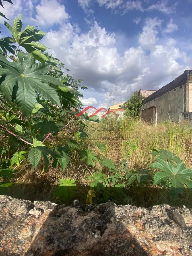 Imagem Terreno para Venda em Sumaré, Jardim Dulce (Nova Veneza)