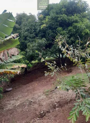 Imagem otima casa