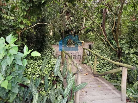 Imagem Lote de Alto Padrão no Jardim Mediterrâneo na Granja Viana