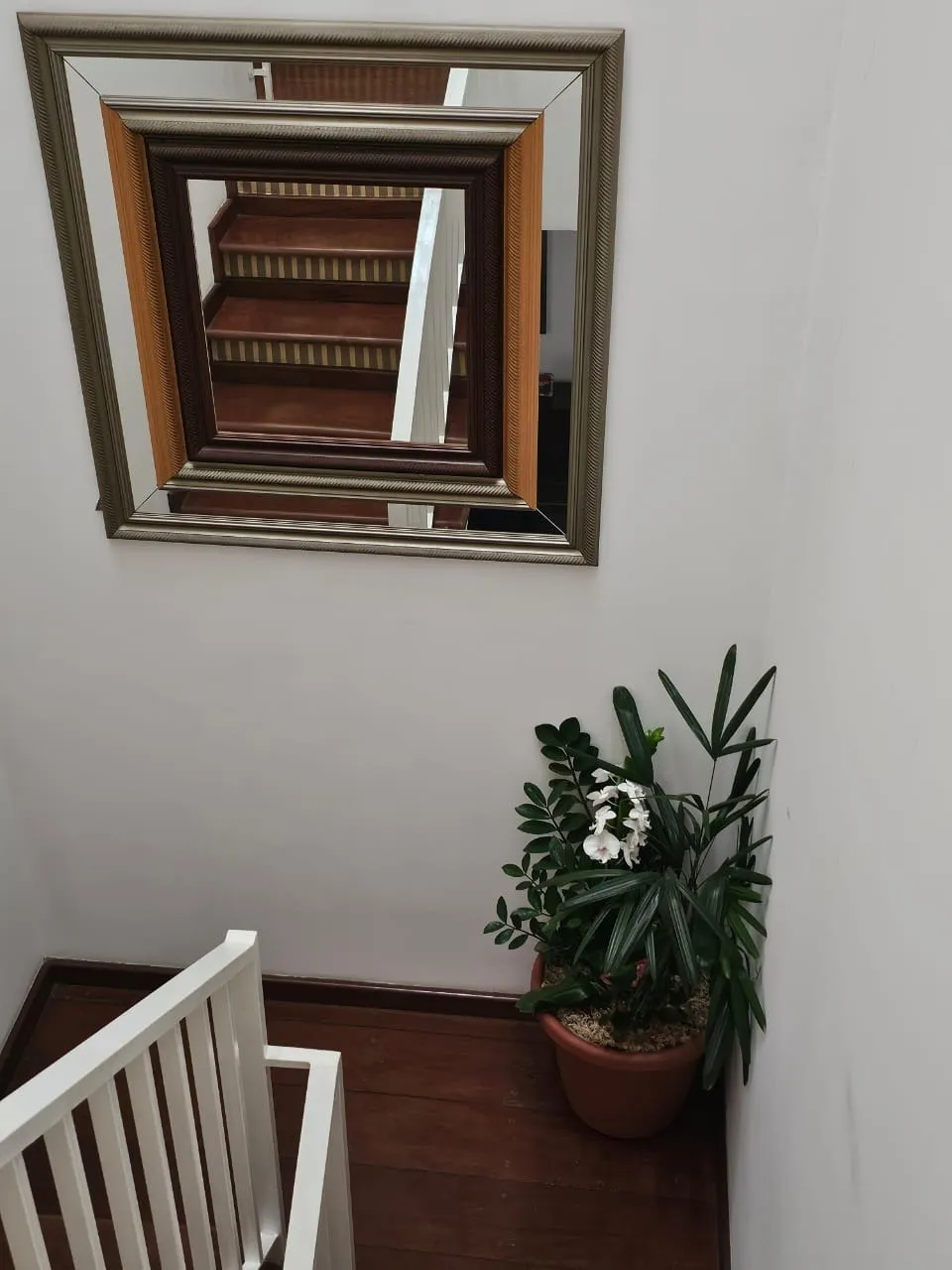 Imagem Casa 3 dormitórios Jardim Emília- Sorocaba/SP