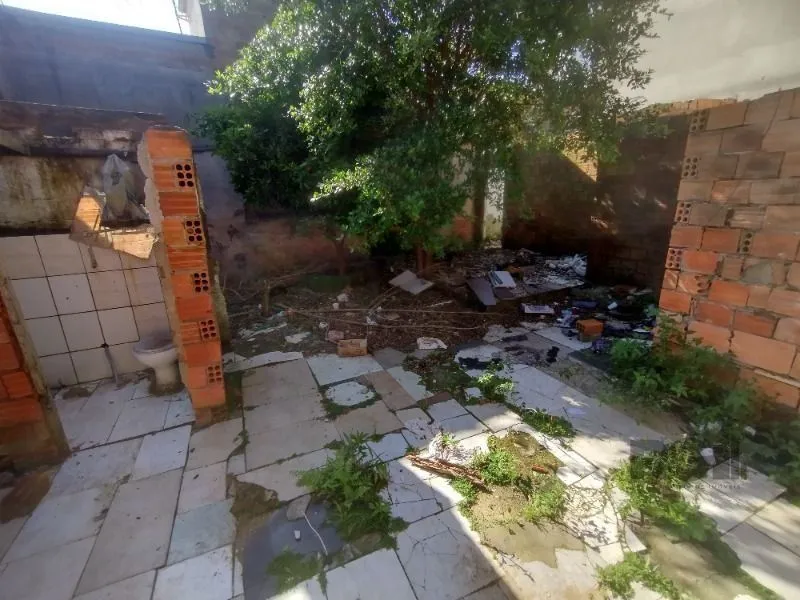 Imagem Terreno em Vila Ipiranga