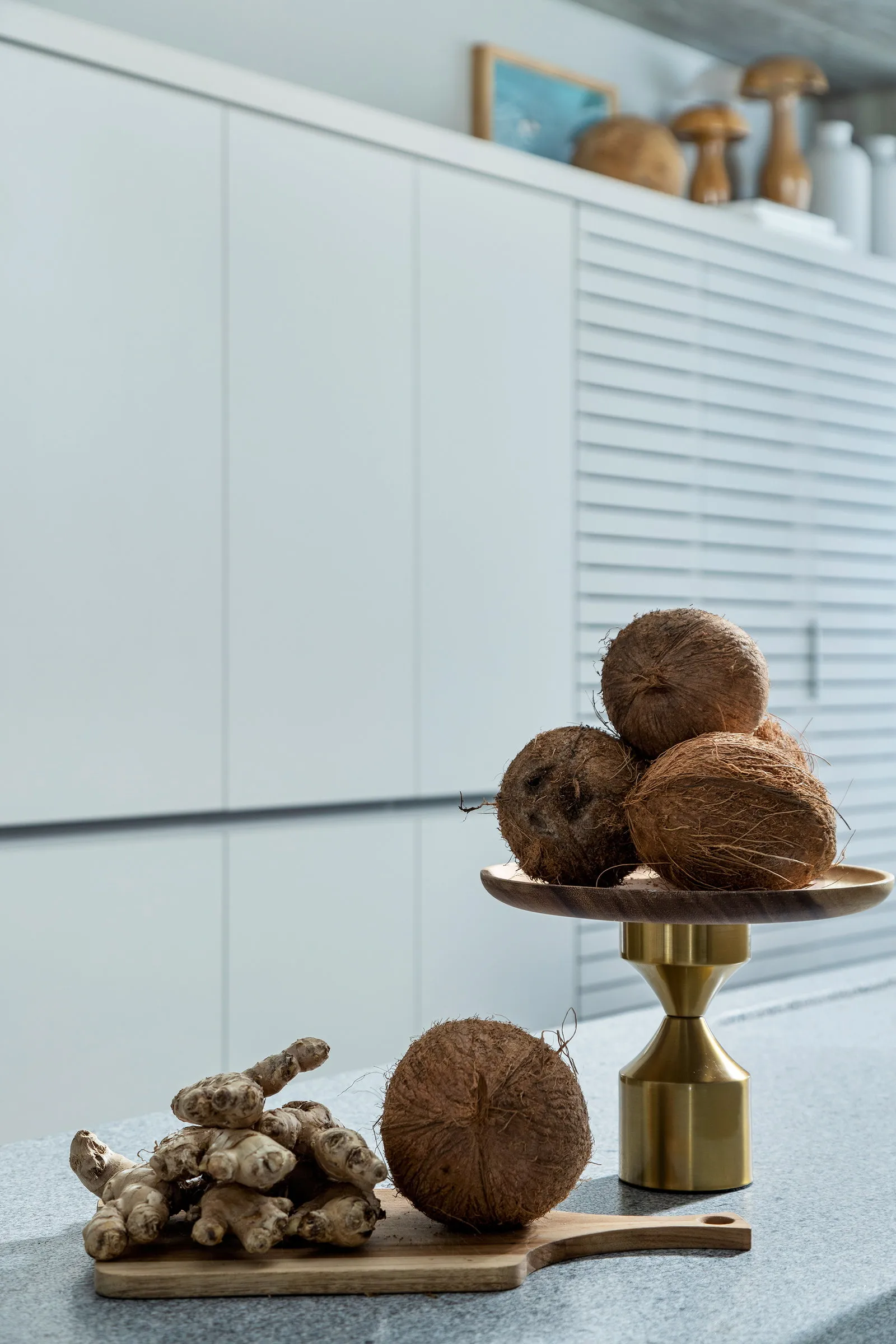 Imagem Pleniluni - Showroom