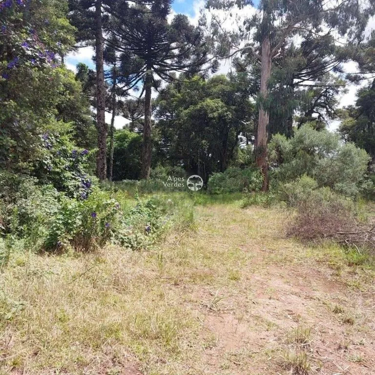 Foto do imóvel Terreno à venda no bairro São Luís em Canela - Lote 37 / Área de 553,55m2