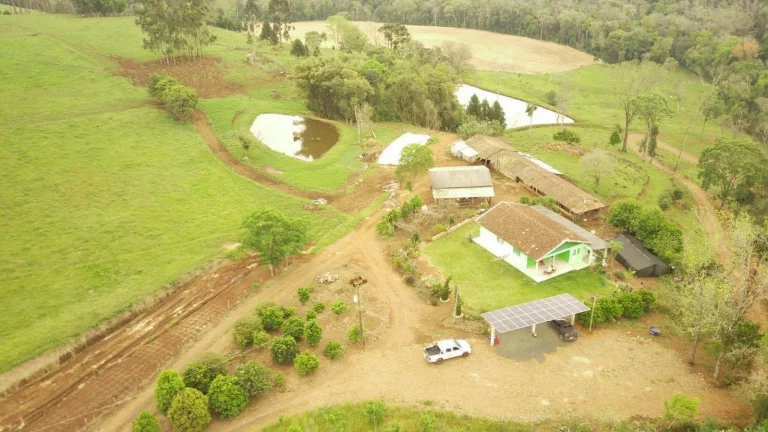 Imagem Área Agrícola para Venda em Concórdia, Rural