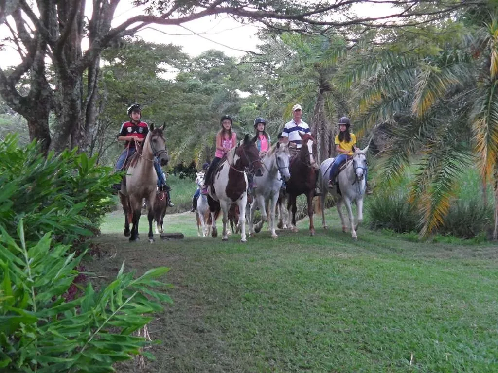 Imagem Chácara à venda 233472.24M², Zona Rural, Santa Cruz da Conceição - SP