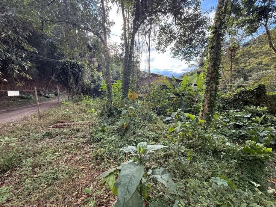 Imagem Terreno para Venda em Teresópolis / RJ no bairro Albuquerque