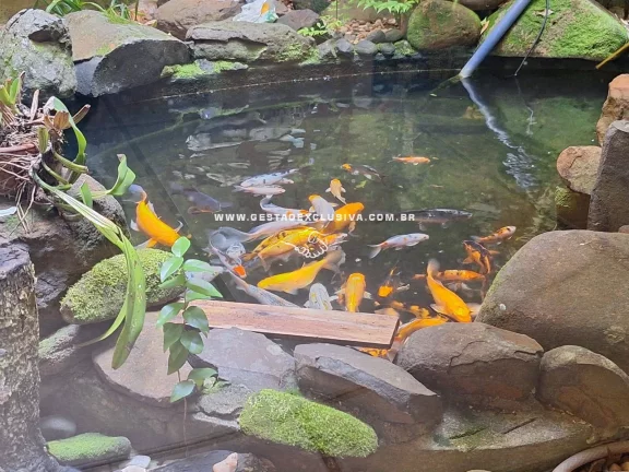 Imagem CHÁCARA 4 DORM 5Mil m² COND.FECHADO PISCINA QDRA TENIS CAMPO POMAR ITATIBA