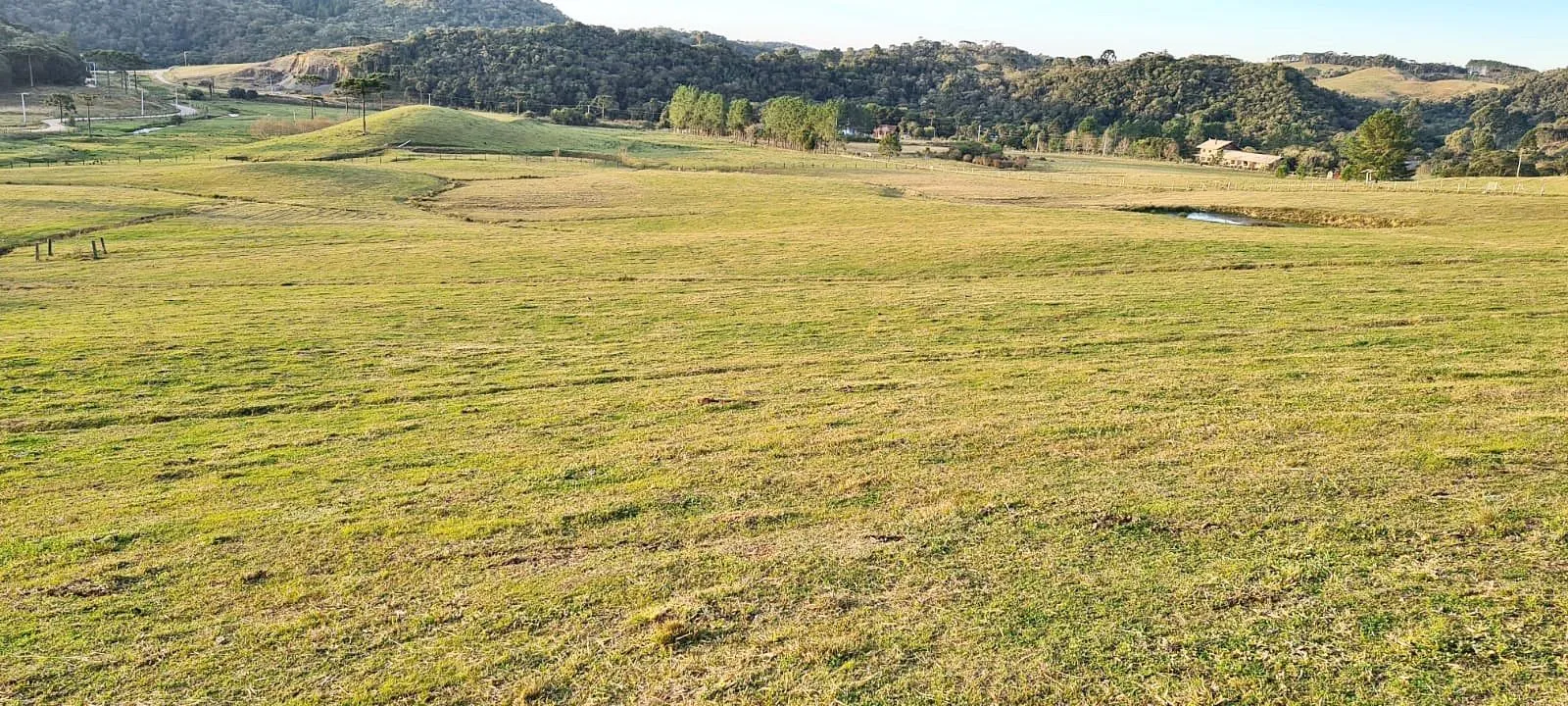 Imagem Oportunidade Única! Terreno com 4 Lagos e Escritura Pública em Rancho Queimado - 27,6 ha