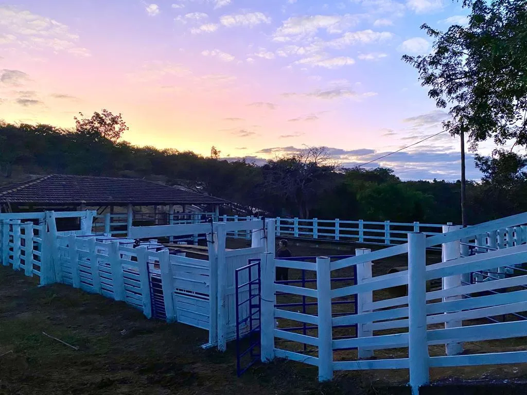 Imagem FAZENDINHA PORTEIRA FECHADA À VENDA - CARMO DO CAJURU (MG) 37 hectares de área total