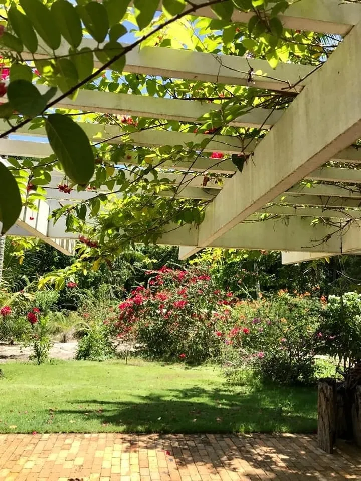 Imagem Lote de 450 m² em condomínio no bairro Praia do Forte em Mata de São João-BA