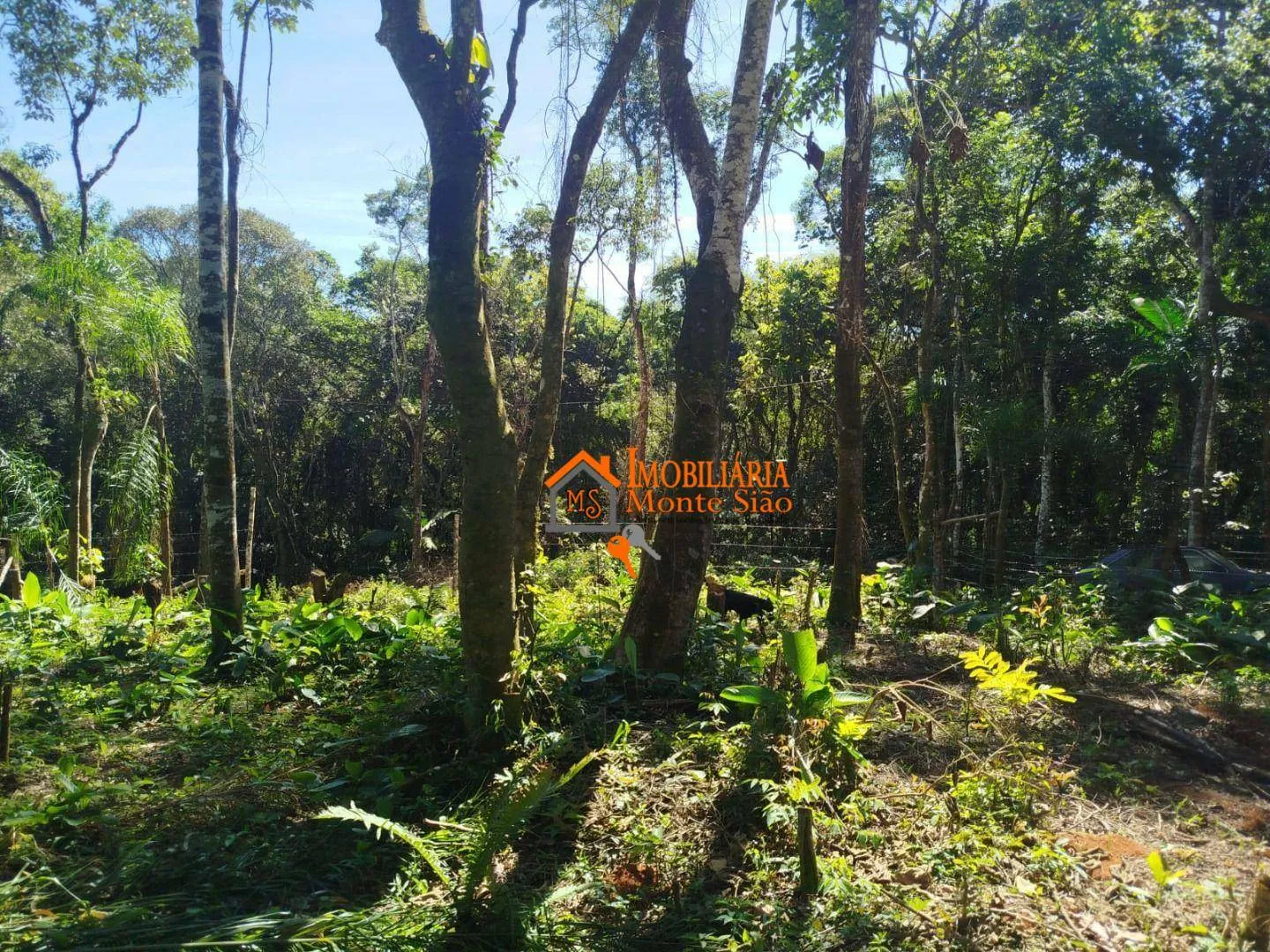 Imagem Terreno à venda, 3.068m² por R$ 212.000 - Parque Santos Dumont - Guarulhos/SP