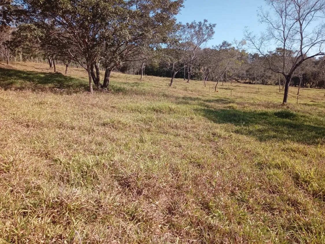 Imagem Vendo um excelente sítio na cidade de Piracema/Mg com 5 hectares de terra