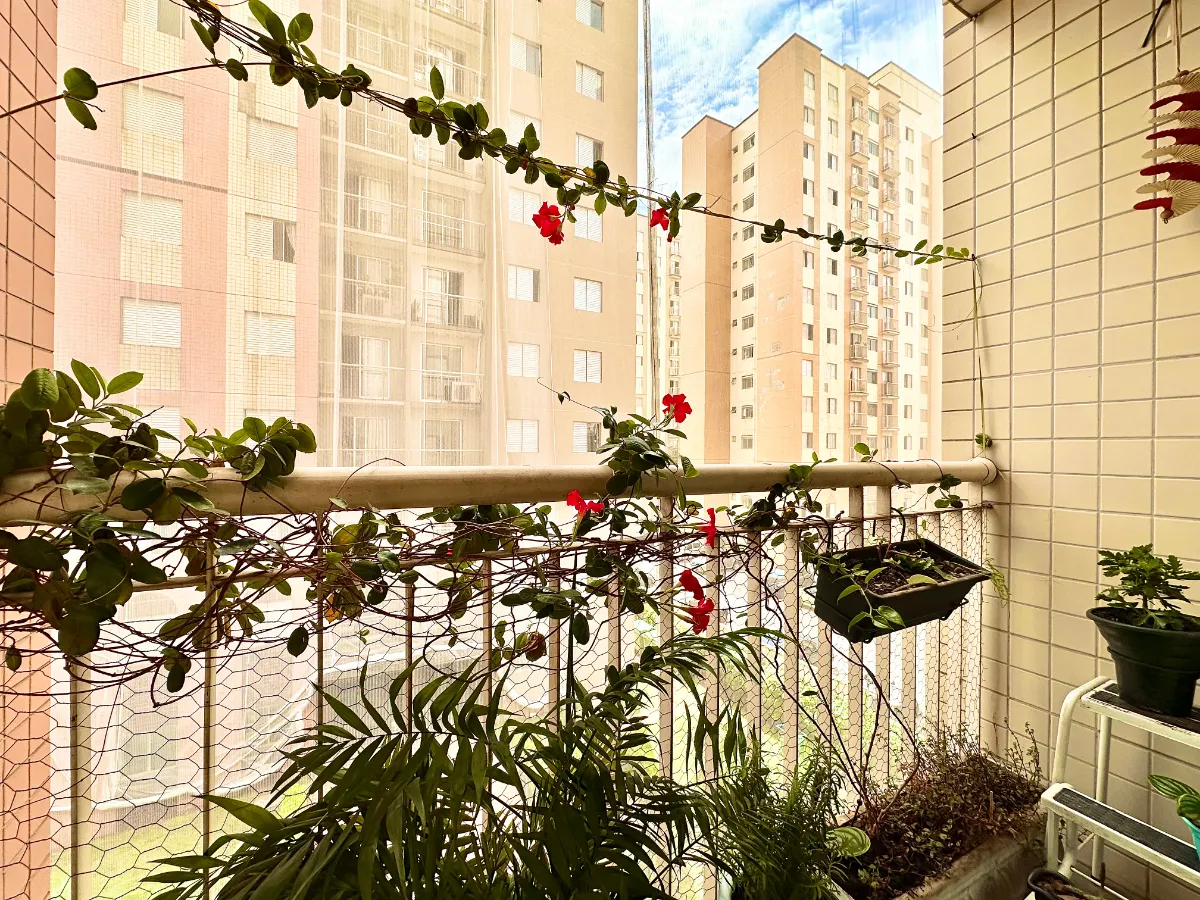 Imagem Apartamento para venda em Cambuci com 3 quartos, sendo 1 suíte, 63m2