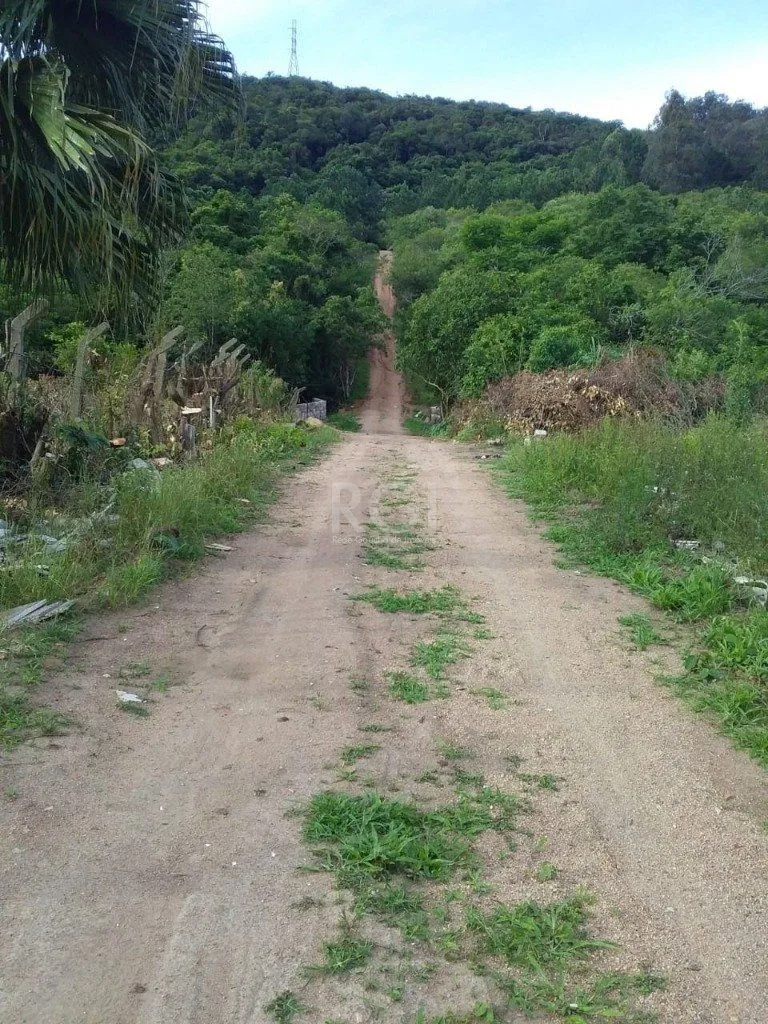 Imagem Terreno em Vila Nova
