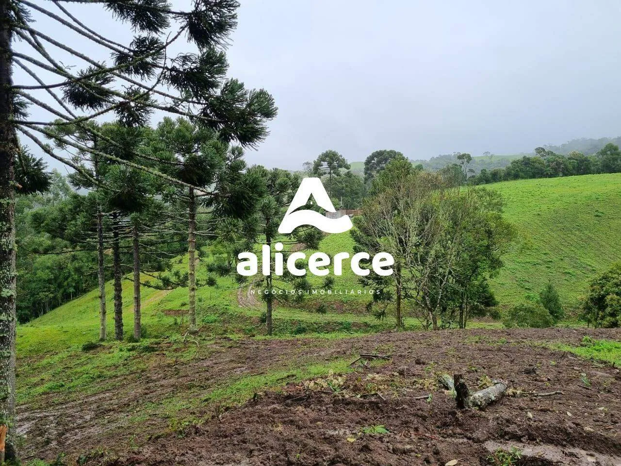 Imagem Terreno à venda com , 30.000m² em Vargedo Rancho Queimado