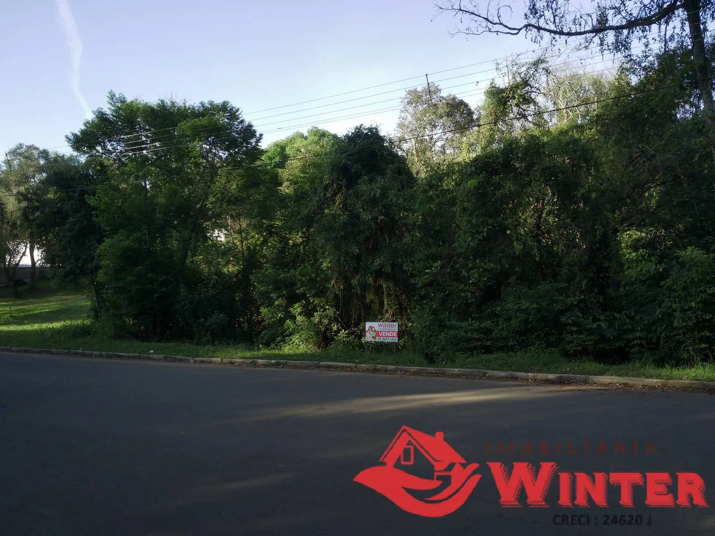 Imagem Lote de frente ao Parque Municipal.