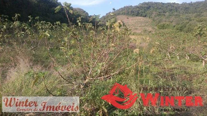 Imagem Linda área de terras na Picada Cara, Próximo a Igreja.