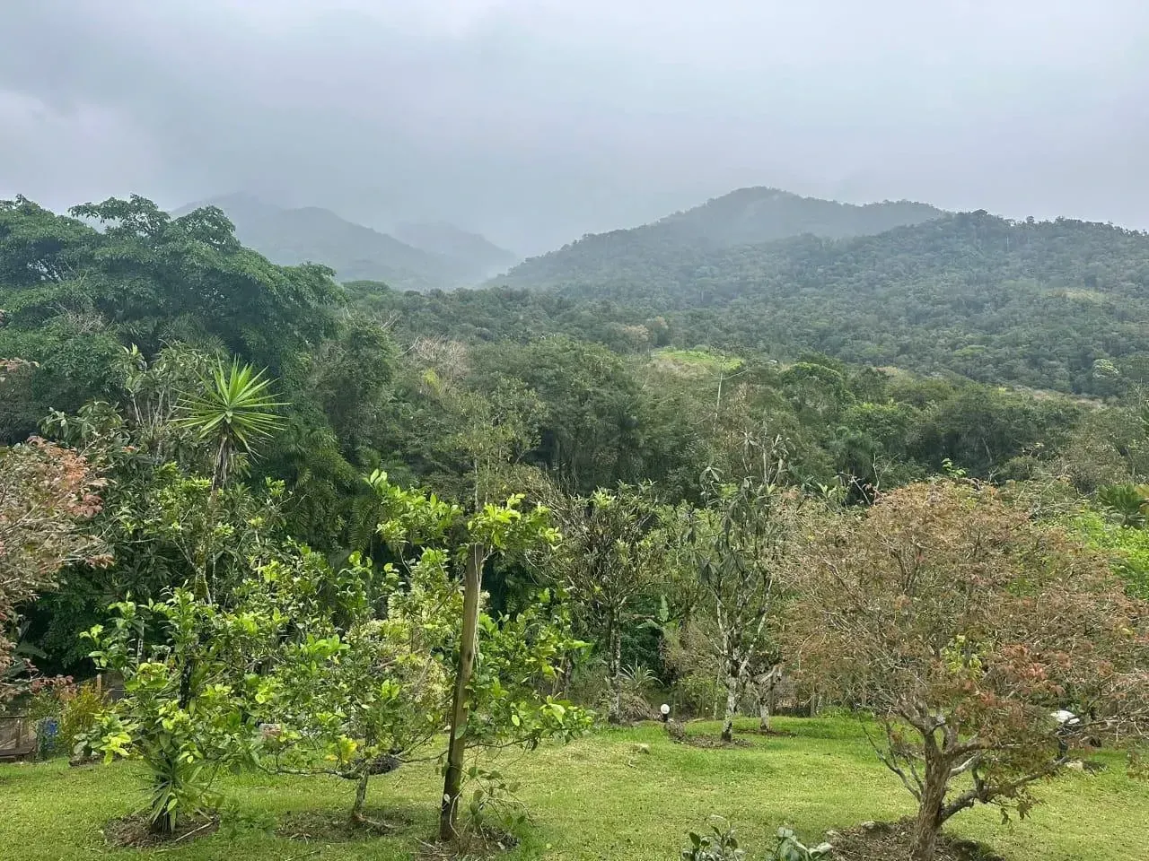 Imagem Chácara com 3 Quartos à Venda, 300 m² em Paraty - Paraty