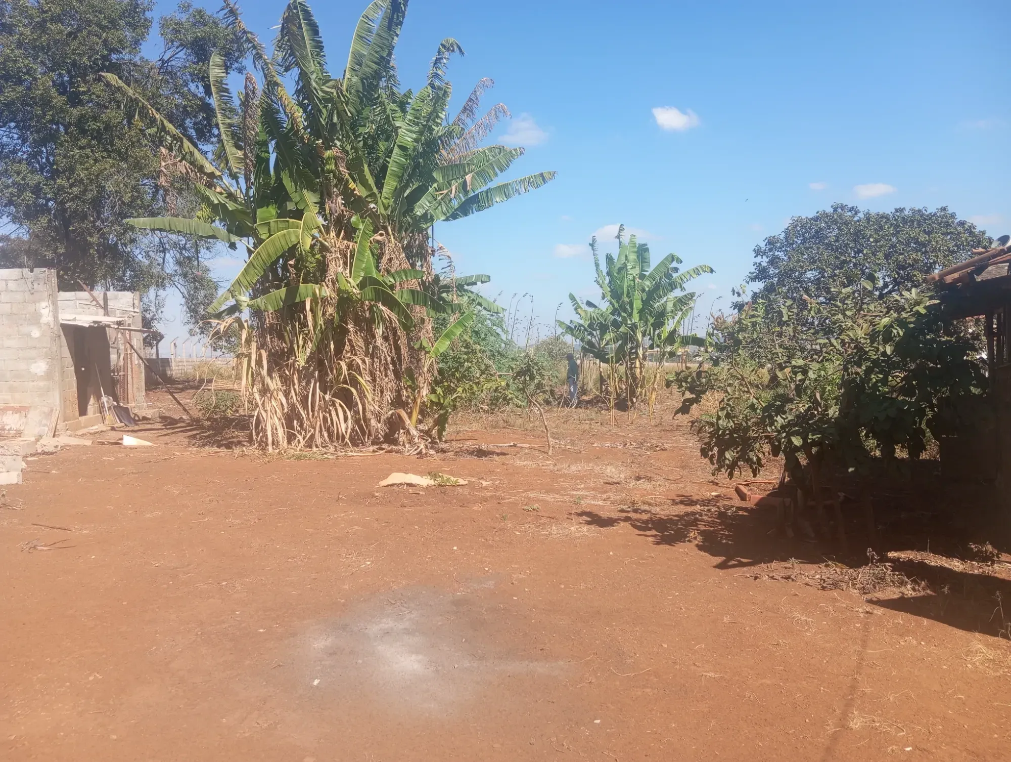 Imagem Chácara com 2 Quartos à Venda, 2.000 m² em Matozinhos - Matozinhos