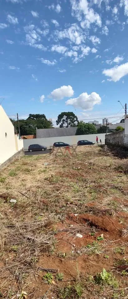 Imagem Ótimo Terreno no CENTRO de GUARAPUAVA - PR com 282m de área