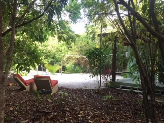 Imagem Casa na Mata