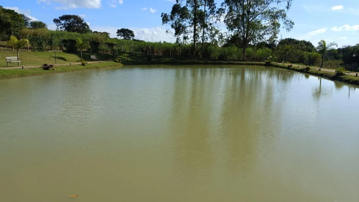 Imagem Vendo um magnífico sítio em Perdigão/MG com 64.000 m² de extensão
