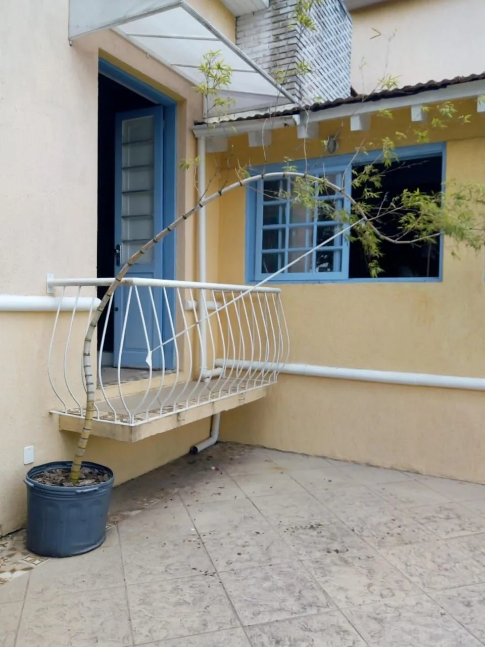 Imagem Casa Centenária no Bairro Belém Velho Residencial/Comercial