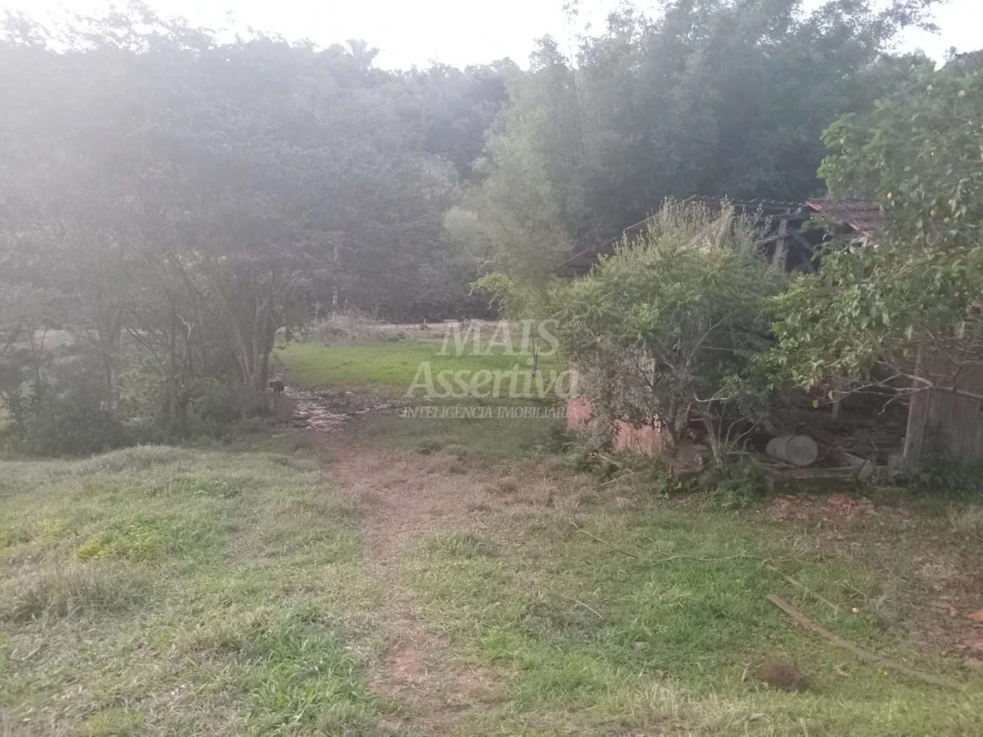 Imagem Excelente Chácara para Venda em Taquara Bairro Pega Fogo