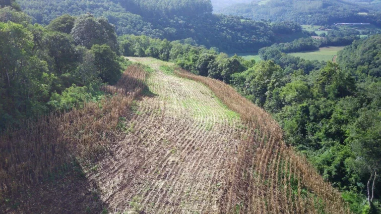 Imagem Área Agrícola para Venda em Concórdia, Barra do Pinhal