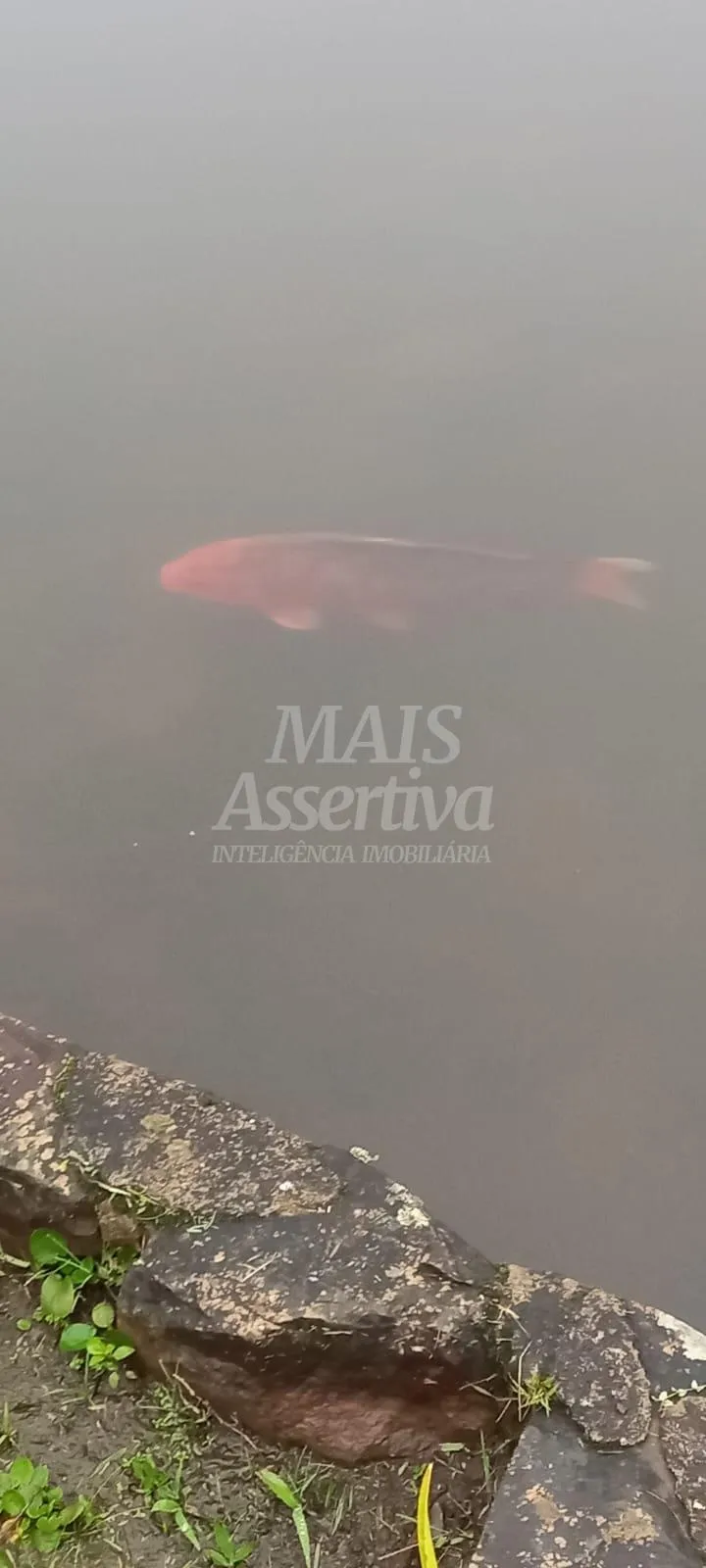 Imagem Terreno com container para venda no Lotealmente Colinas, São Francisco de Paula