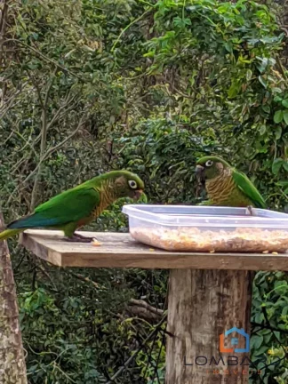 Imagem Linda pousada a venda em Ilhabela, vista mar!