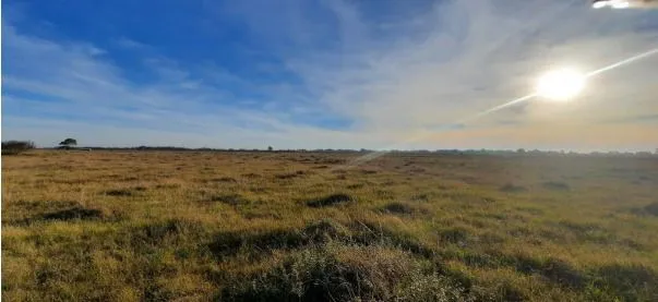 Imagem Area para Venda - 1.100.000m², Vila Santa Rosa