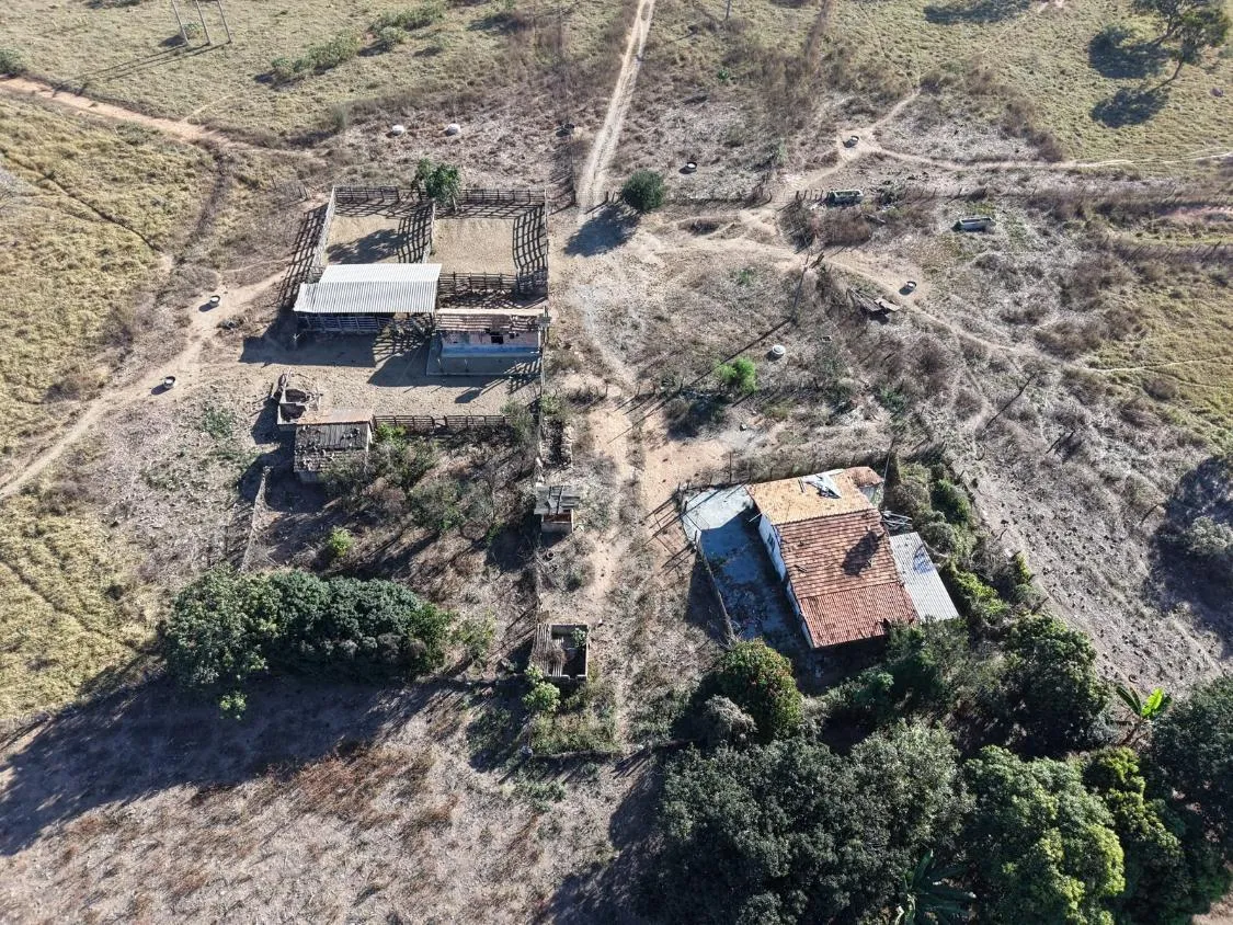 Imagem Fazenda à Venda em Papagaios/MG ? 150 Hectares