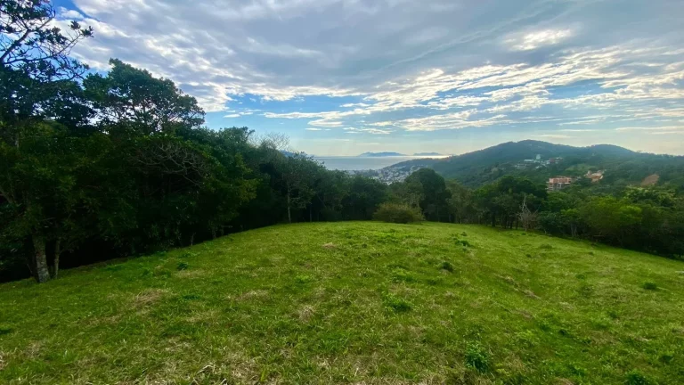 Imagem Terreno à venda em Garopaba-SC, na Praia da Silveira, com 4.908,00 m² de área! Aproveite essa oportunidade única!