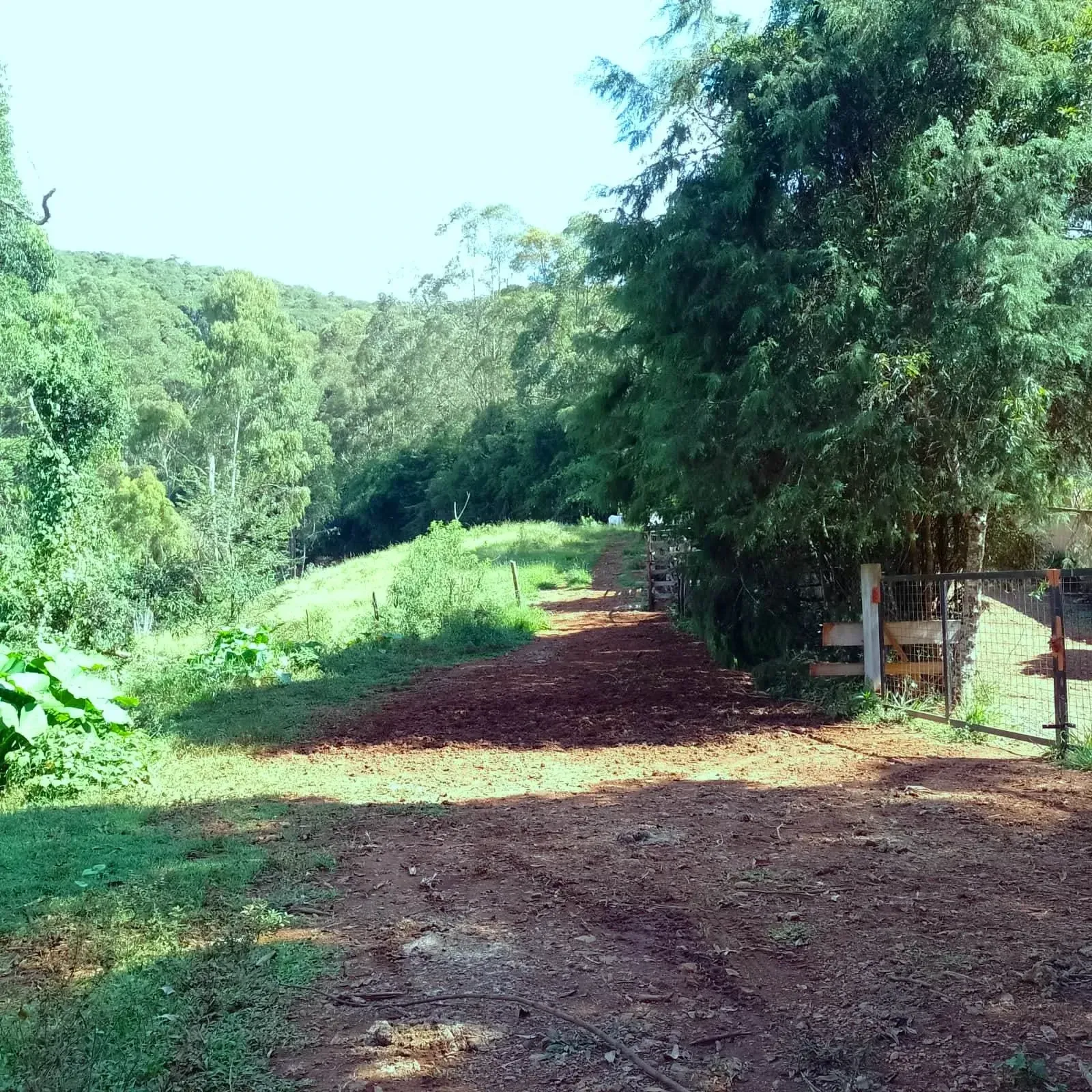 Imagem Chácara à Venda, 5.000 m² em zona rural - Poços de Caldas